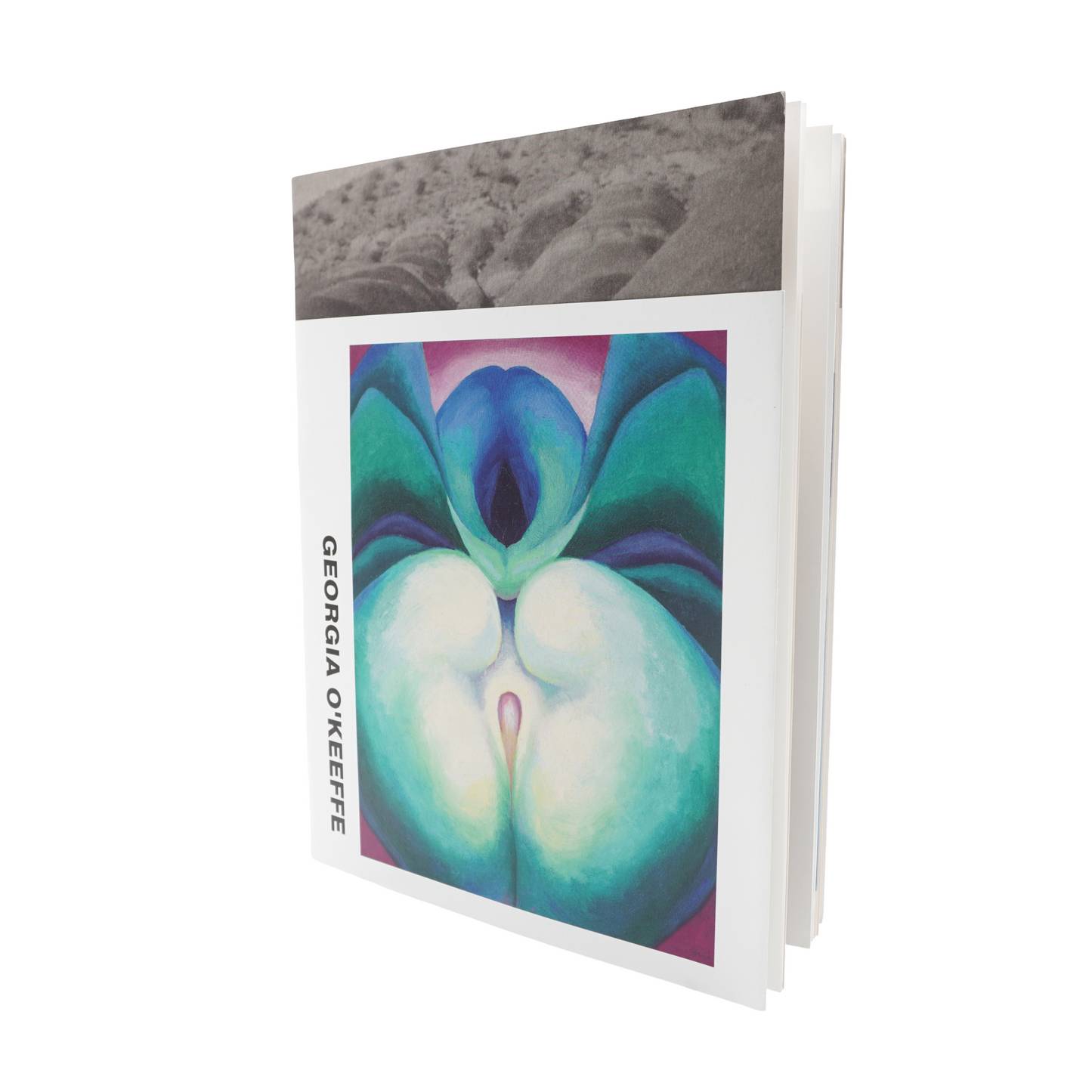 Libro Comme des Garçons DM Georgia O’Keeffe Winter 2025