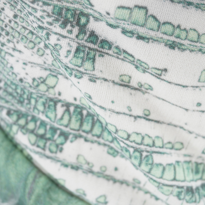 Top Roberto Cavalli print
