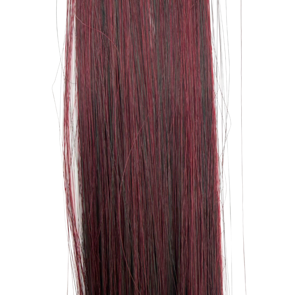Gorra P.L.N. Horsehair