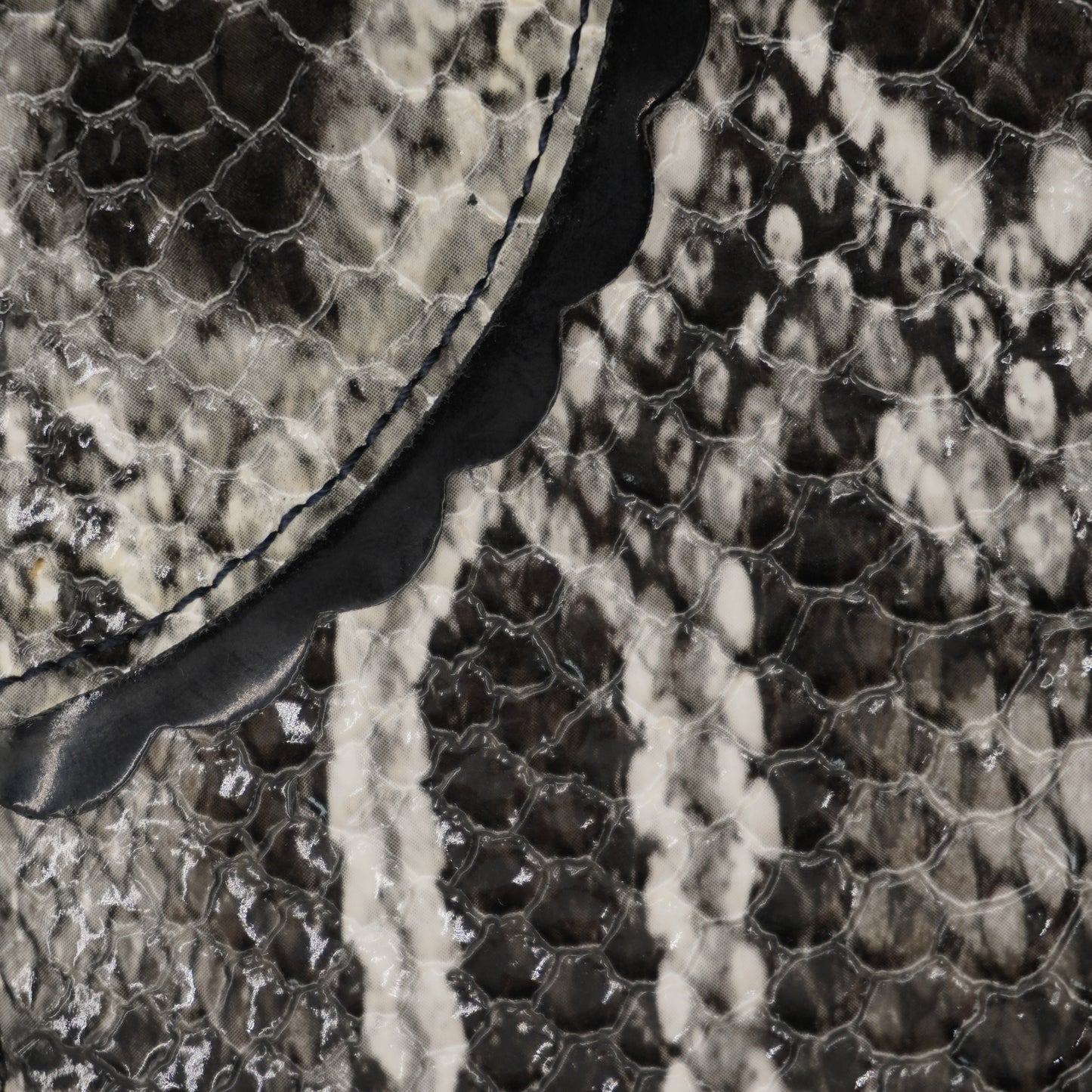 Cartera Vivienne Westwood Frilly Snake Wallet