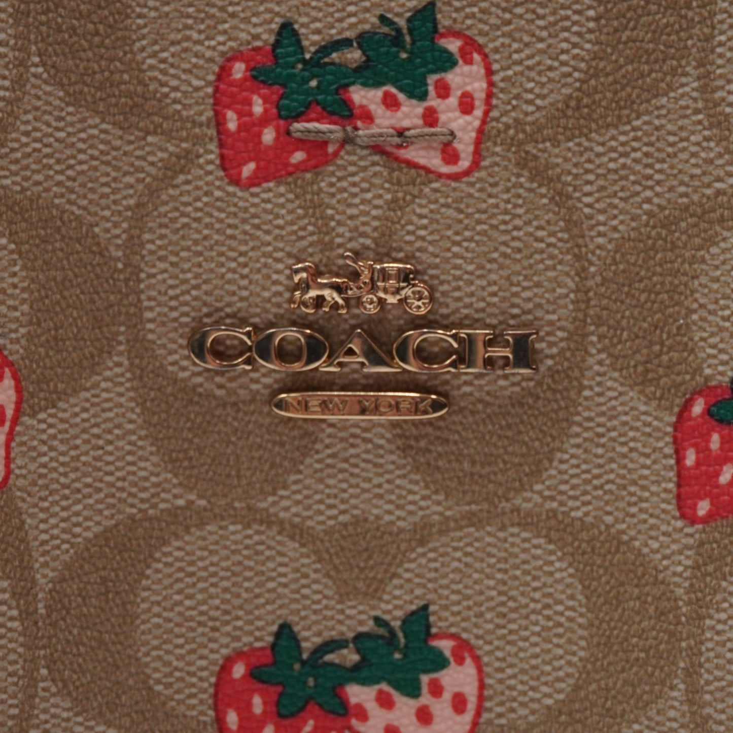 Bolsa Coach Bucket Leather Fresas