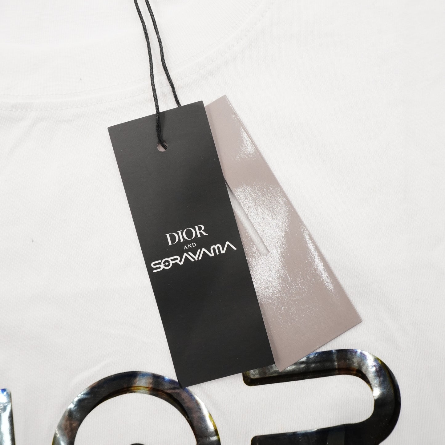 Playera Christian Dior x Sorayama Spring Guide