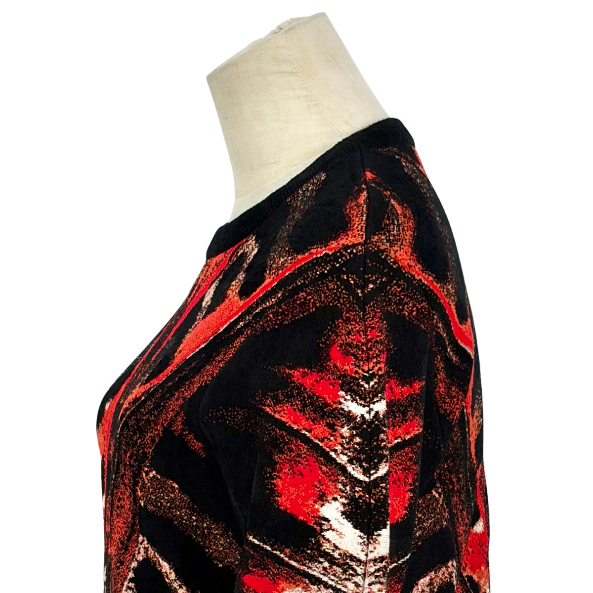 Sueter  Alexander McQueen Feather Print