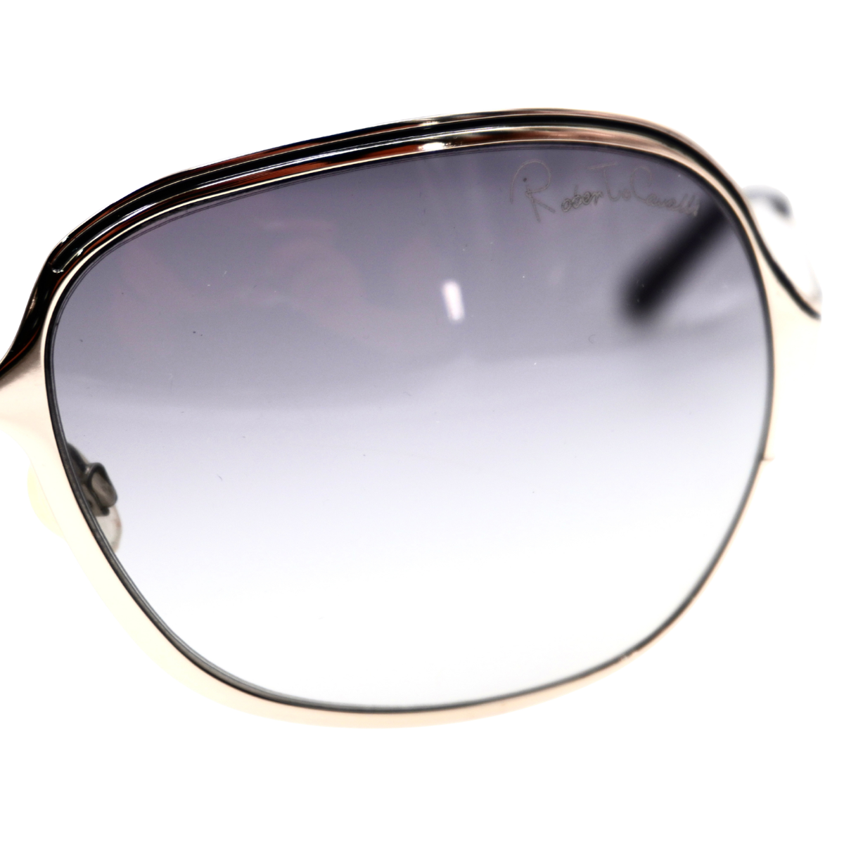 Lentes Roberto Cavalli Plateados