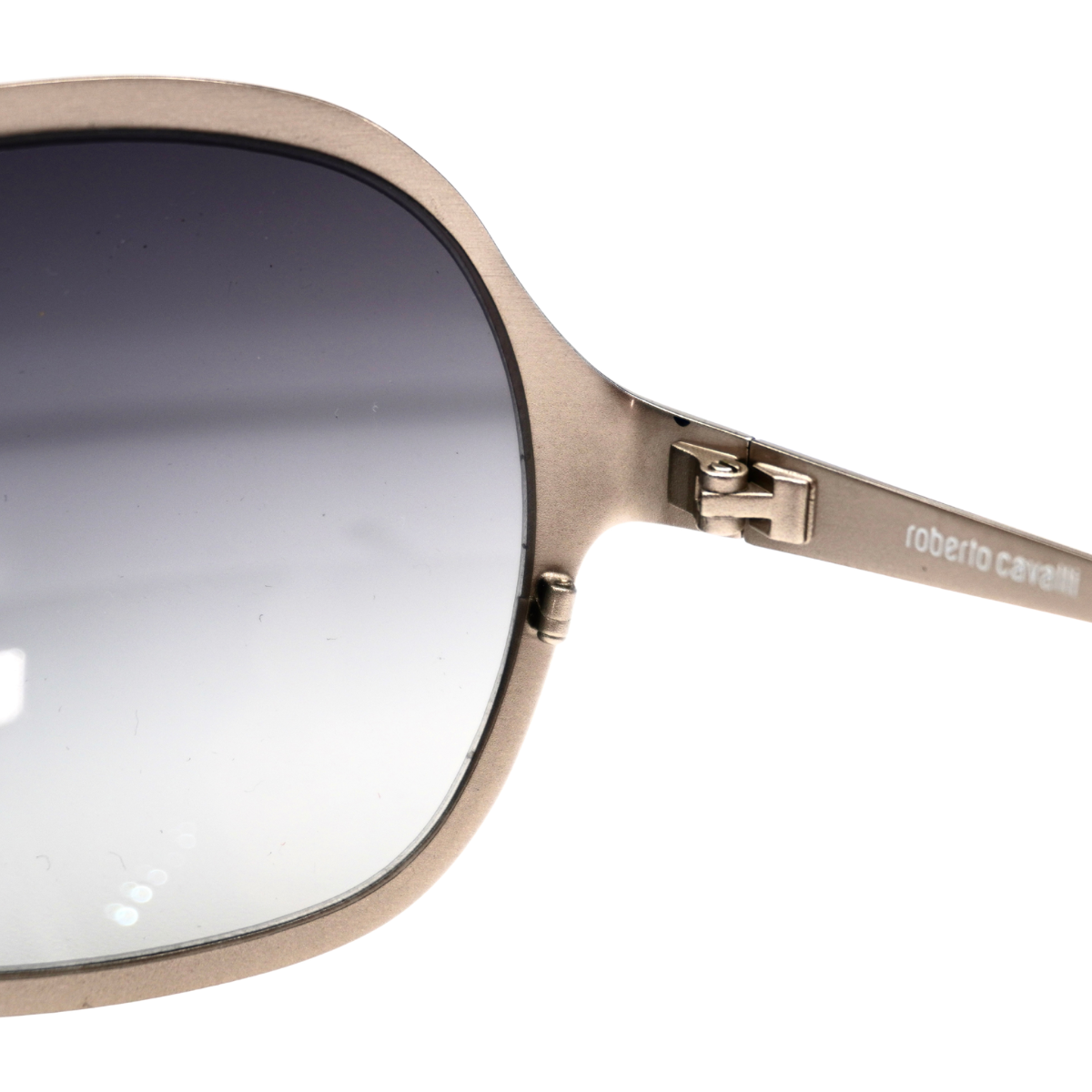 Lentes Roberto Cavalli Plateados