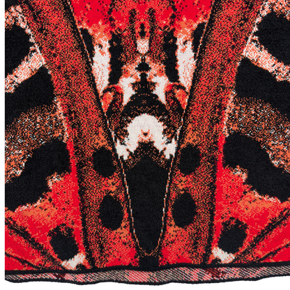 Sueter  Alexander McQueen Feather Print