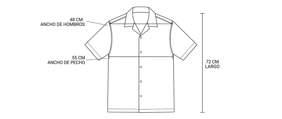 Guia camisa-dries-van-noten-ramie