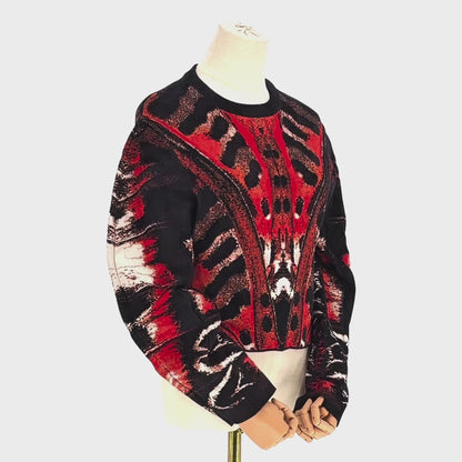 Sueter  Alexander McQueen Feather Print